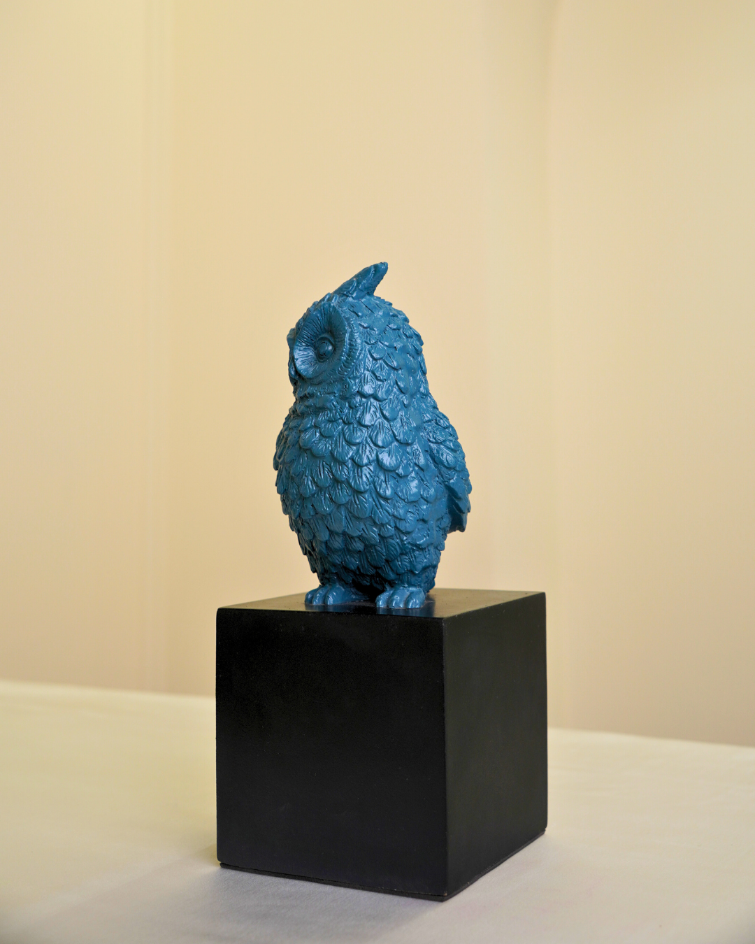 Owl of Wisdom & Protection