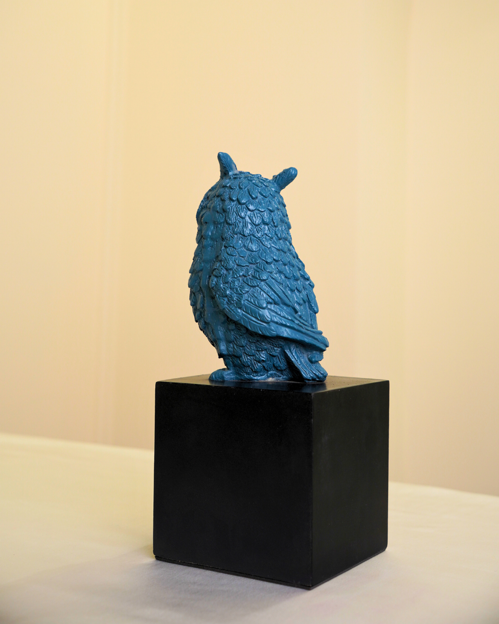 Owl of Wisdom & Protection