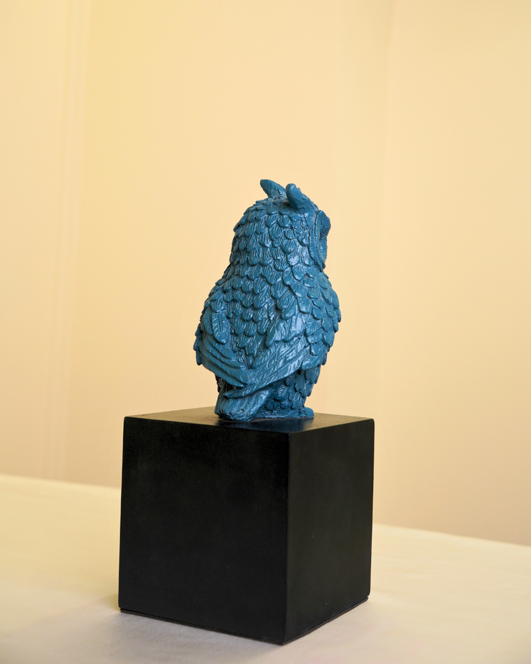 Owl of Wisdom & Protection