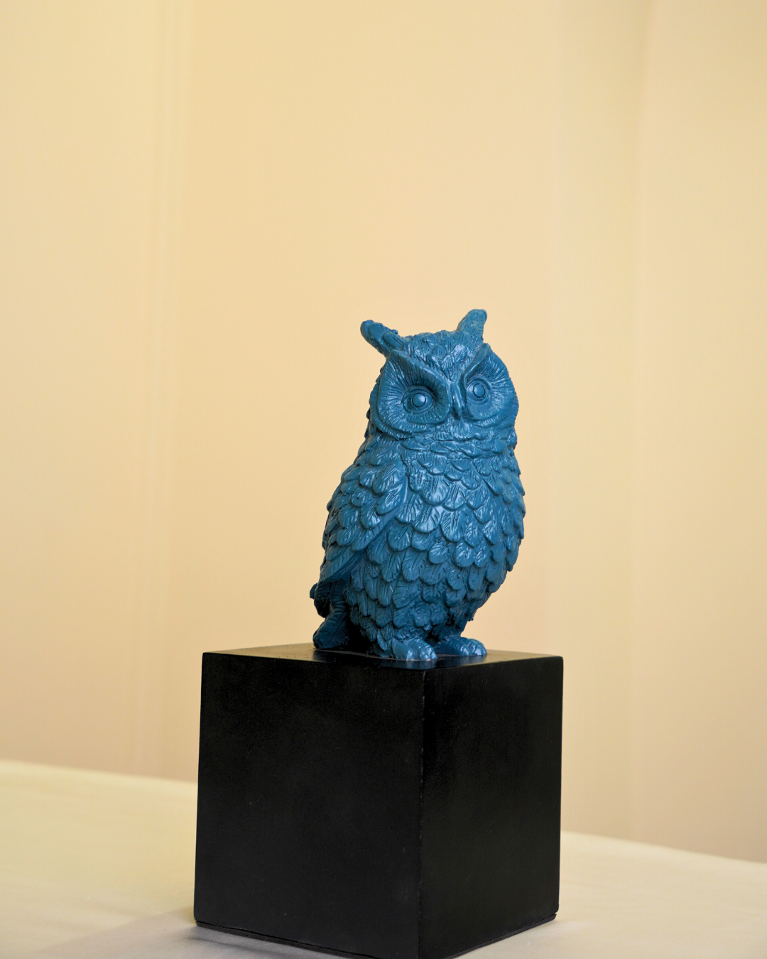 Owl of Wisdom & Protection